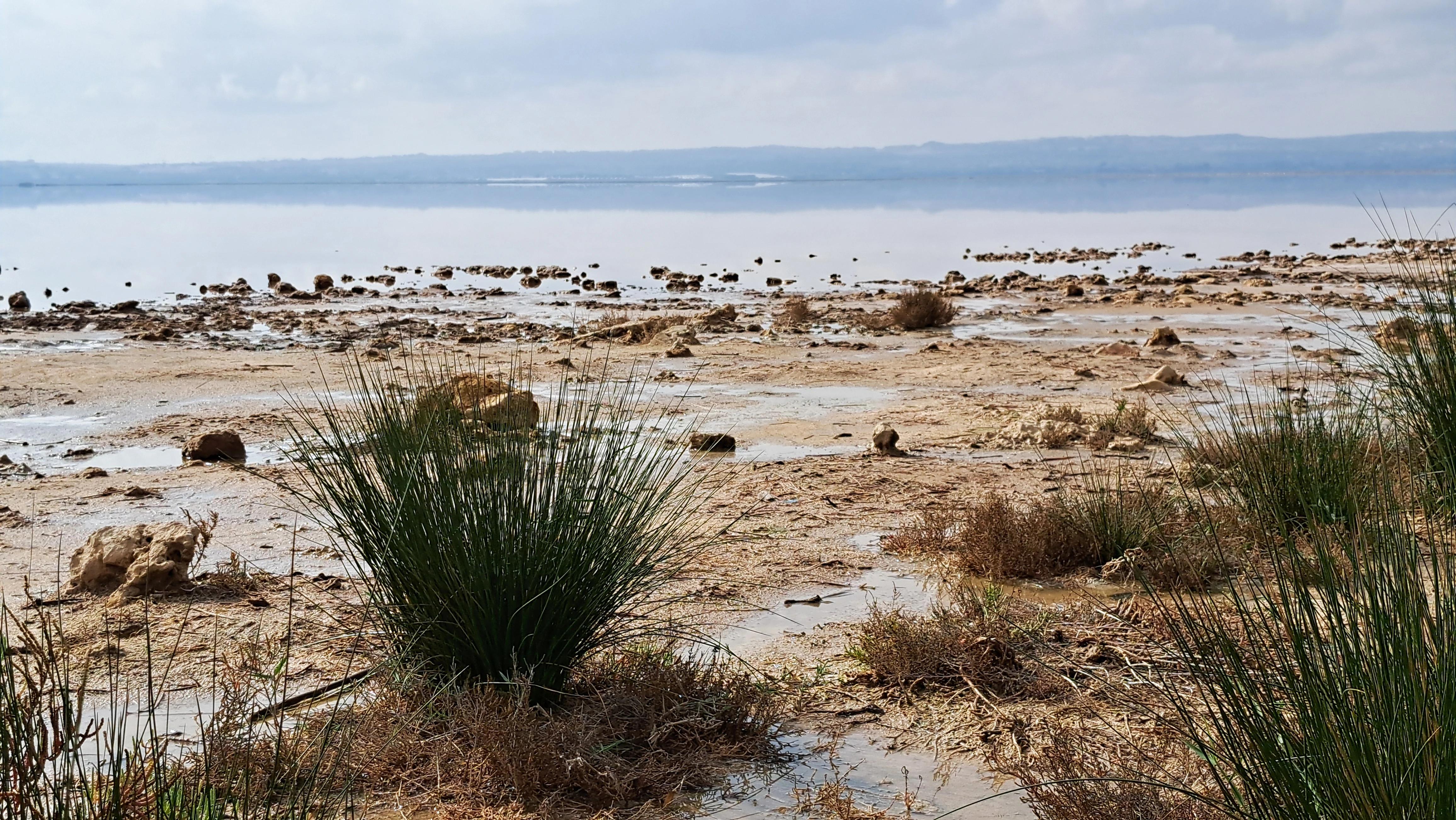 De zoutmeren van Torrevieja Foto